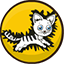 Electro shok