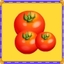 Tomato Master