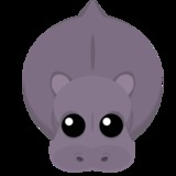 hippo avatar